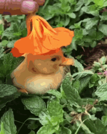 Duck Cute GIF - Duck Cute Flower GIFs