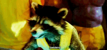 Guardians Of The Galaxy Rocket Raccoon GIF - Guardians Of The Galaxy Rocket Raccoon Snickers GIFs