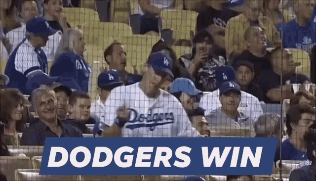 Dodgers Dodgers Win GIF - Dodgers Dodgers Win Go Dodgers GIFs
