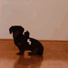 Puppies Police GIF - Puppies Police Dogs GIFs