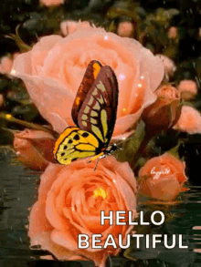Hello Beautiful Butterflies GIF - Hello Beautiful Butterflies Rose GIFs
