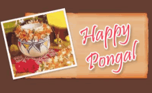 Pongal Happy Pongal GIF - Pongal Happy Pongal Wishing You A Hppy Pongal GIFs