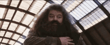 Hagrid Harry Potter GIF - Hagrid Harry Potter Beating Heart GIFs