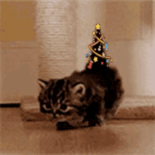 Merry Christmas Cute GIF - Merry Christmas Cute Baby Cat GIFs