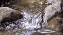 Nature Water GIF - Nature Water Flowing GIFs