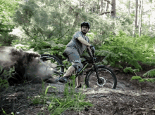 Downhill Mtb Transition Bikes GIF - Downhill Mtb Transition Bikes Berm GIFs