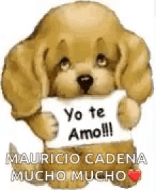Amor Yo Te Amo GIF - Amor Yo Te Amo Puppy GIFs