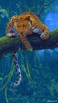 Mi Mascotas GIF - Mi Mascotas Leopard GIFs