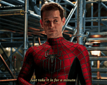 Spider Man Just Take It In For A Minute GIF - Spider Man Just Take It In For A Minute Take It In For A Minute GIFs