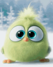 Cute Adorable GIF - Cute Adorable Angry Bird GIFs