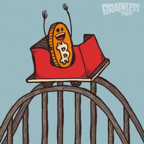 Bitcoin Rollercoaster - Rollercoaster GIF - Rollercoaster Bitcoin Cartoon -  Discover & Share GIFs