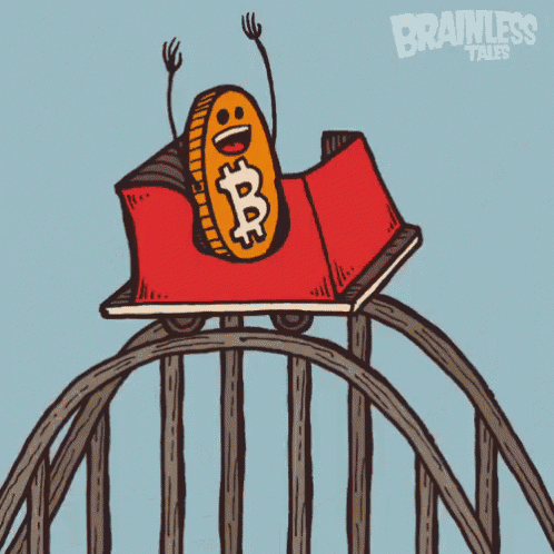 rollercoaster-bitcoin.gif