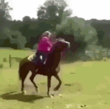 Horse Backflip GIF - Horse Backflip GIFs