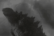 Godzilla Dinosaur GIF - Godzilla Dinosaur Scary GIFs