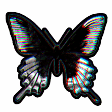 butterfly holographic