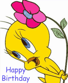 Happy Birthday Tweety Bird GIF - Happy Birthday Tweety Bird Pink Flower GIFs