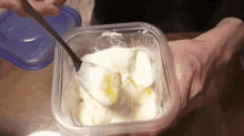 yogurt mango snack lunch