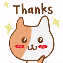 animal kitty cat cute thanks animal kitty cat cute thanks