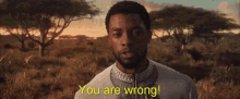 Black Panther You Are Wrong GIF - Black Panther You Are Wrong Youre Wrong GIFs