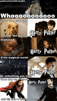 harry potter who is harry potter harry