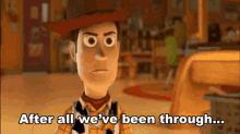 Toy Story Woody GIF - Toy Story Woody After All Weve Been Through GIFs