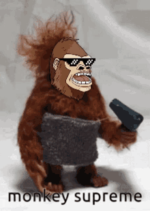 monkey hairdryer
