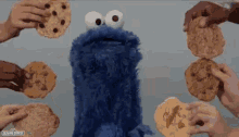 cookie monster cookie for you many all you can eat cookies