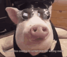 Pig Police GIF - Pig Police Vegetarian GIFs