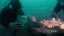 albert underwater