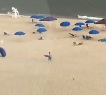 wind-umbrellas.gif