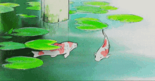 Fishy Anime GIF - Fishy Anime Swim GIFs