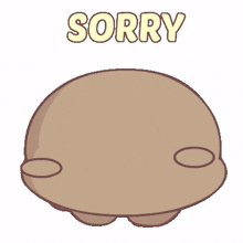 baby brown bear sorry begging