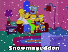 Snowmageddon Blizzard GIF - Snowmageddon Blizzard Snow GIFs
