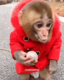 Monkry Monkey GIF - Monkry Monkey Cardi B GIFs