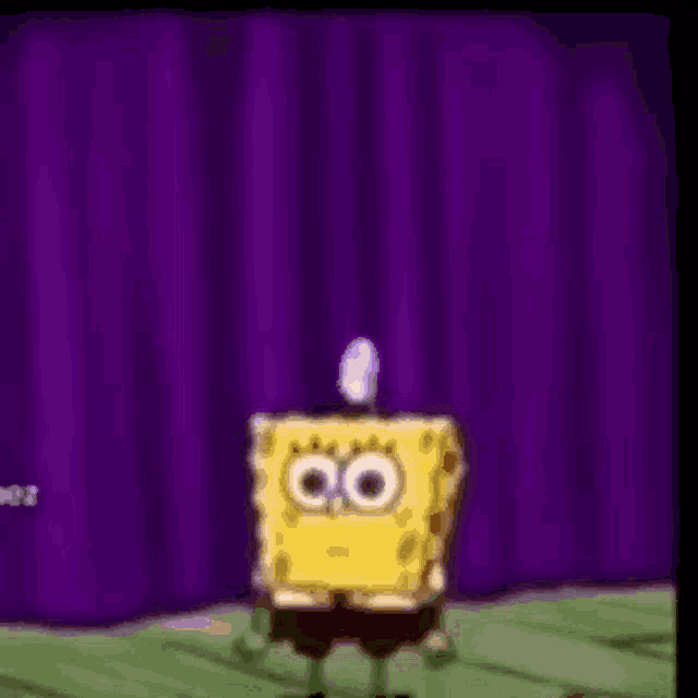 Spongebob GIF Spongebob Discover & Share GIFs