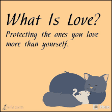 What Is Love Protecting The Ones You Love GIF - What Is Love Protecting The Ones You Love More Than Yourself GIFs