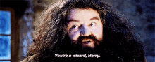 Hagrid Wizard GIF - Wizard Magic Hagrid GIFs