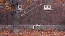 fall autumn leaf brick