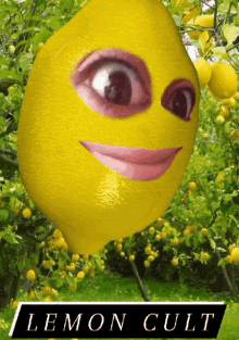 Lemoncult Lemonface GIF - Lemoncult Lemonface Facelemon GIFs
