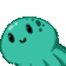 octo octo