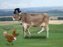 मुर्ग़ी गाय GIF - मुर्ग़ी गाय नाच GIFs