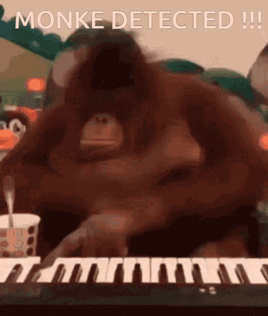 orangutan-guitar-solo-music.gif