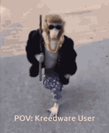Kreedware Kreed GIF - Kreedware Kreed Xenko GIFs