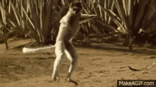 Monkey Dance GIF - Monkey Dance Jump GIFs