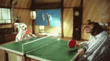 Dogs Ping Pong GIF - Dogs Ping Pong GIFs