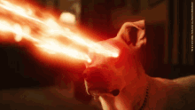 lasers dog super powers shooting lasers dcu titans