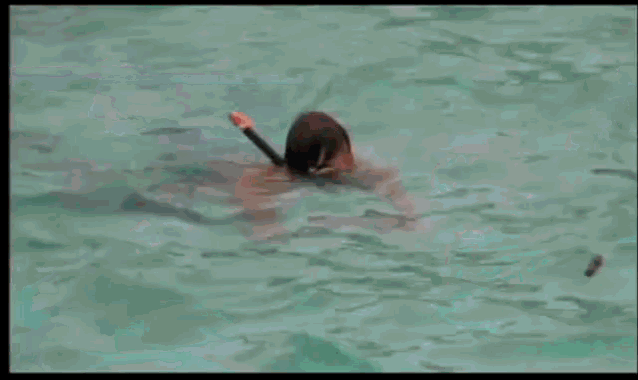 Doodie Pool GIF - Doodie Pool Shocked - Discover & Share GIFs