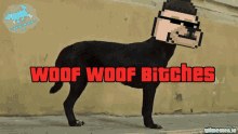 Woof Woof Bitches Woof Solana GIF - Woof Woof Bitches Woof Solana Woof GIFs