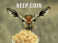 Keep Going Deer GIF - Keep Going Deer Eating GIFs