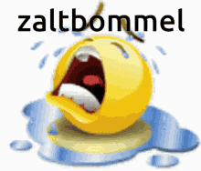 Zaltbommel GIF - Zaltbommel GIFs
